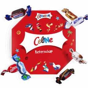 Celebrations box