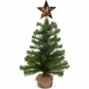 Kerstboom